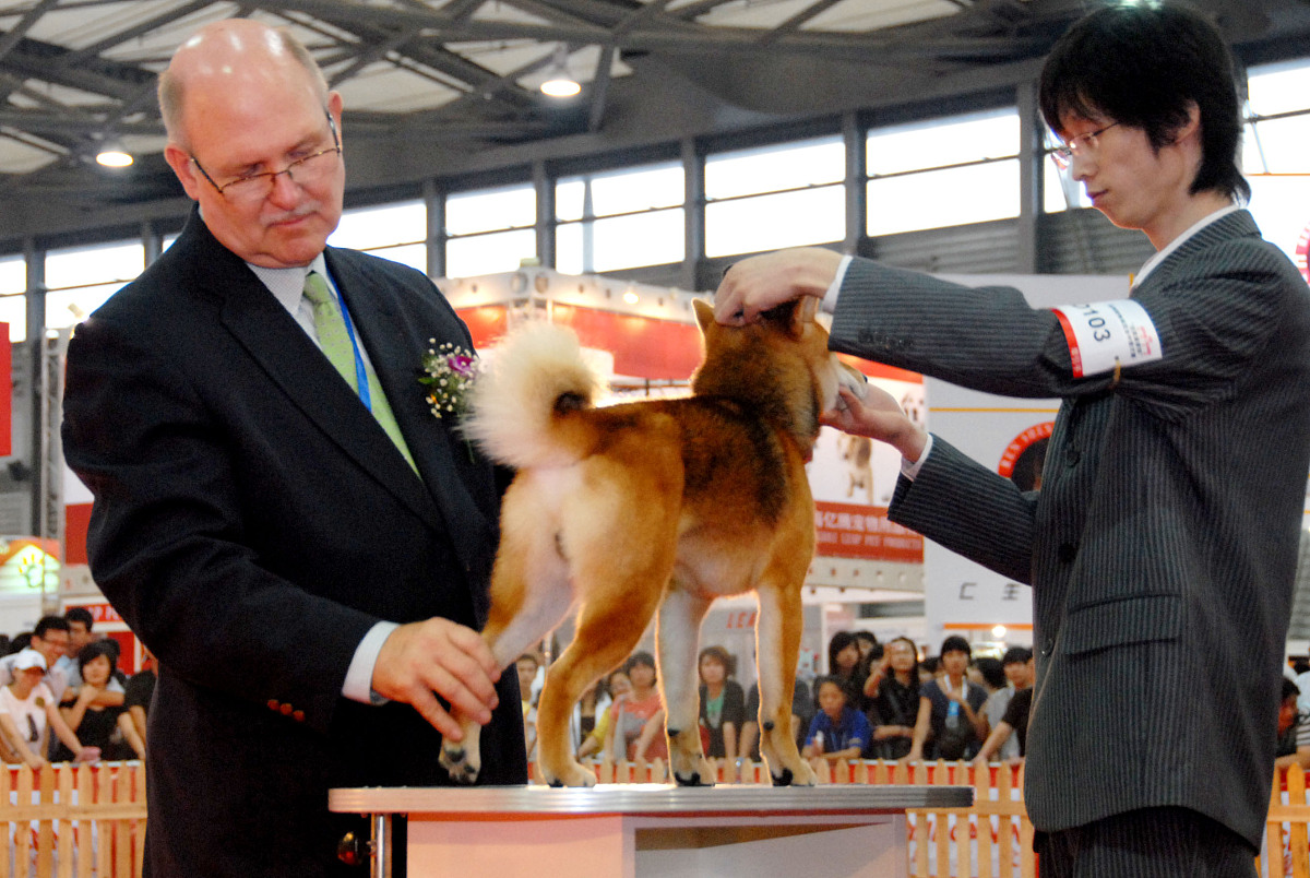 实现了流浪动物领养管理的信息化使用户体验到更优秀的流浪动物领养管理管理员管理操作将更加方便实现目标。 用另一句话来说