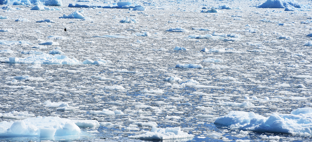 坚强老王：平凡生活中的抗癌故事