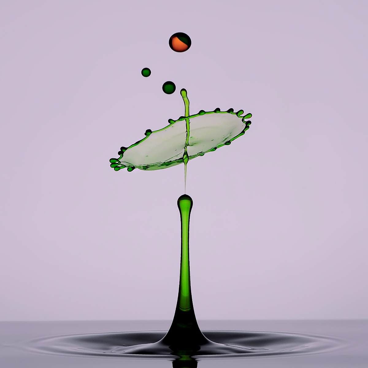 摄影细节:如何抓住瞬间、捕捉情感? 摄影细节:如何抓住瞬间、捕捉情感?