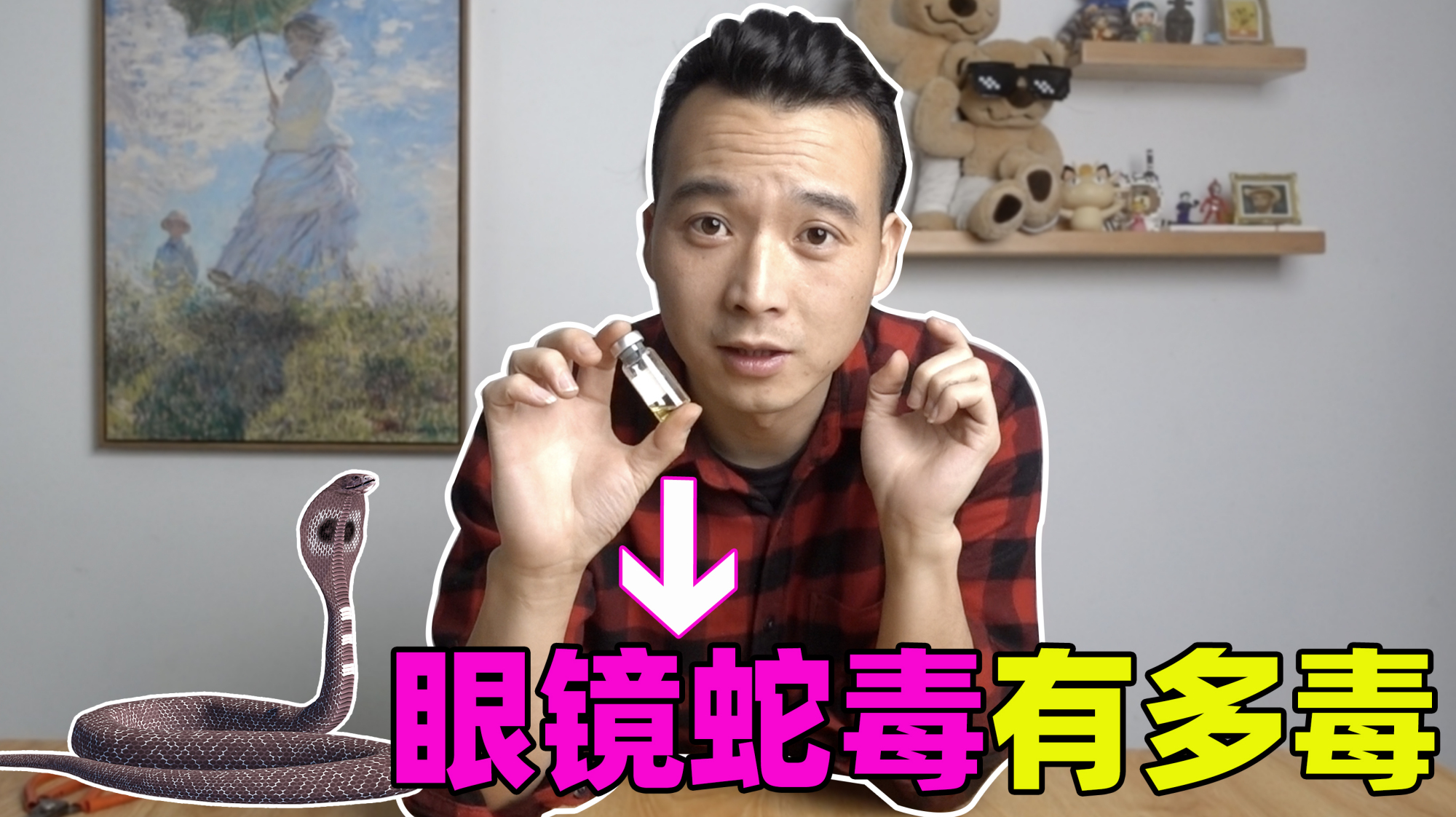 测试眼镜蛇毒有多毒,为什么卖的比黄金还贵?