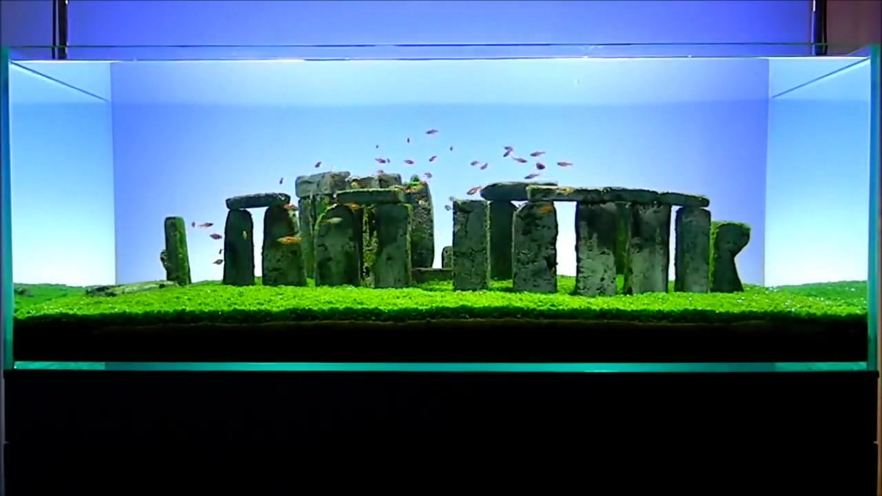 简单的设计,加上这样一群漂亮的孔雀鱼,太赞了