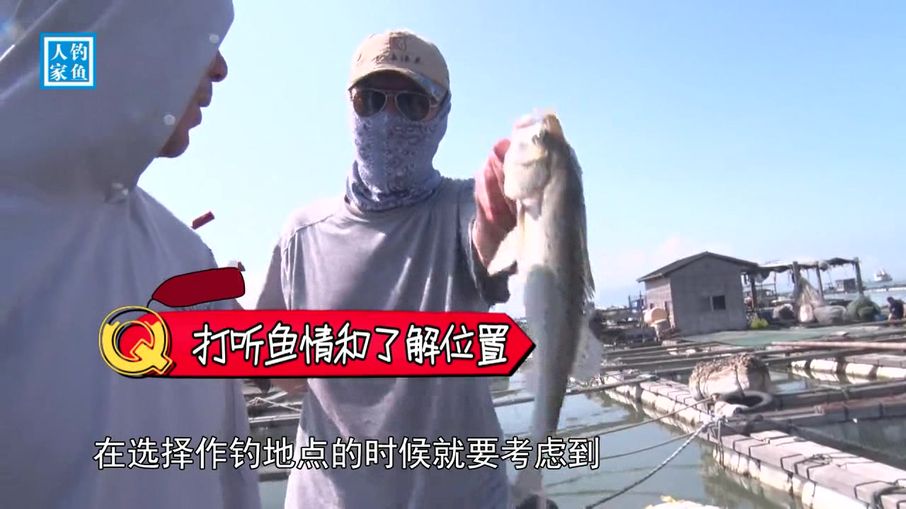 动态钓法:手不离鱼竿作钓凶猛鲈鱼,浅水的位置也能钓获鲈鱼