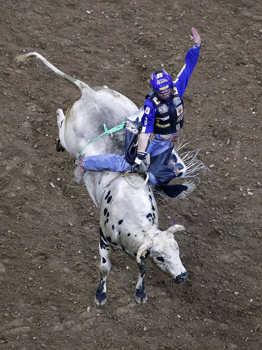 诚邀您担任职业规划大赛院内选拔赛评委
