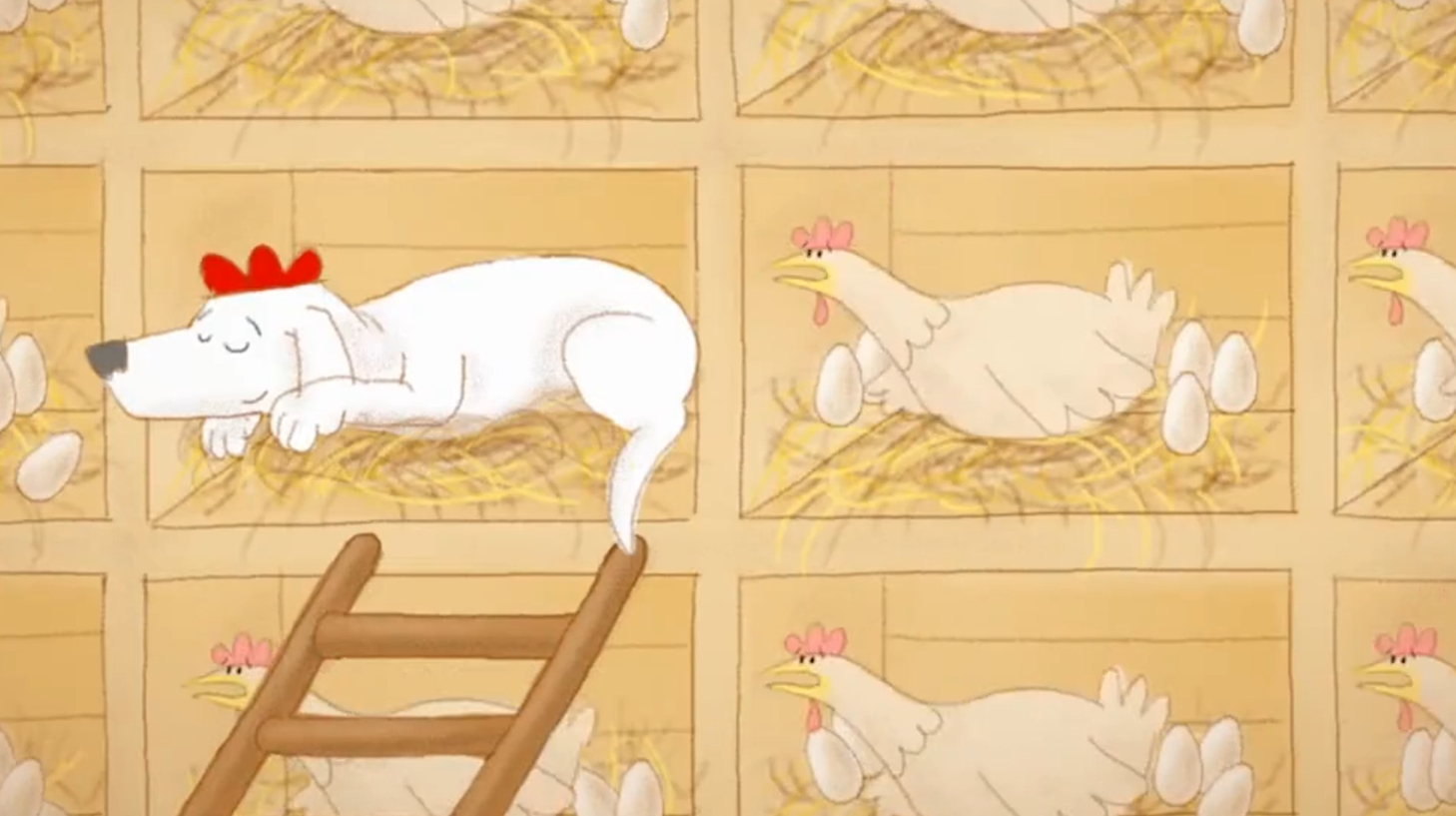 母鸡嫌下蛋太累了,跟狗狗互换身体,仅一晚母鸡就后悔了