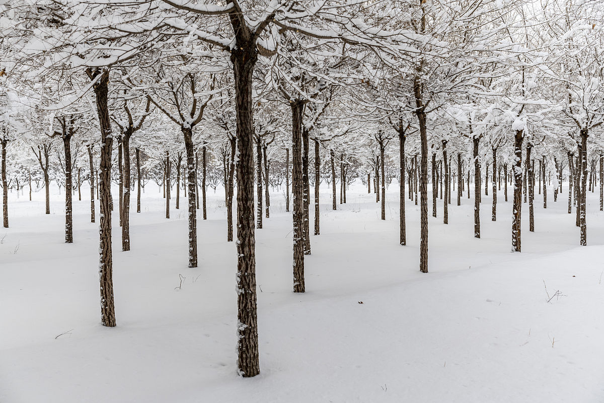 包头媒体曝光平台有哪些 要求：创建一篇500至1000字的解决方案