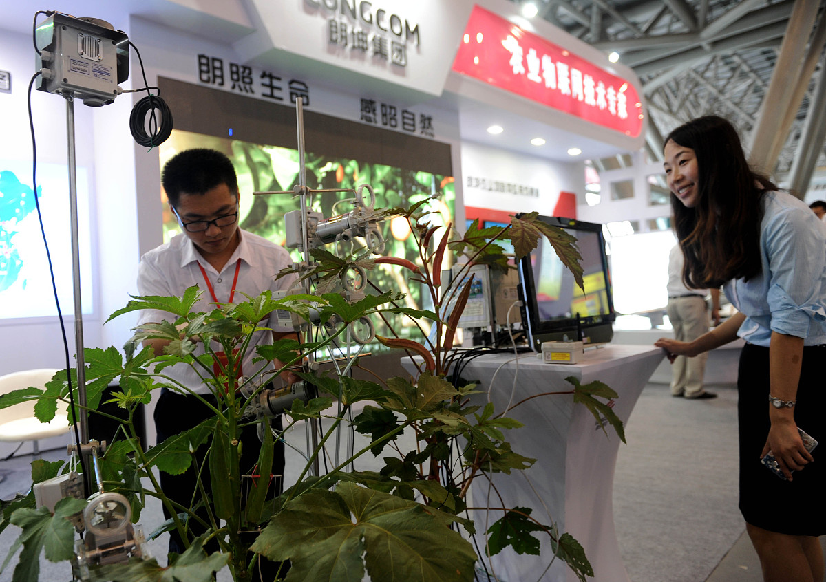 胞间浓度、气孔导度、蒸腾速率、净光合速率和水分利用率之间的关系