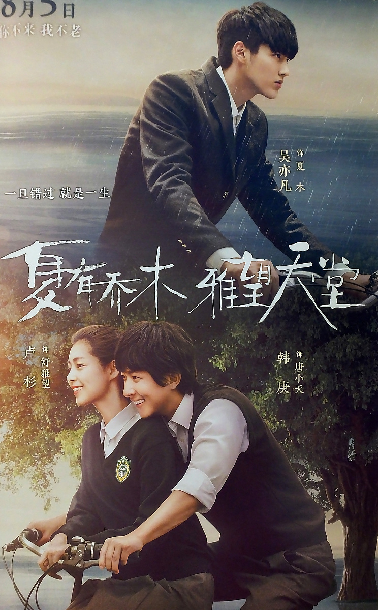 这一本情满四合院同人小说大纲