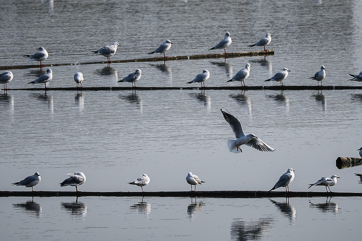 江苏赣榆中等专业学校2022年招生专业介绍 - 专业选择指南
