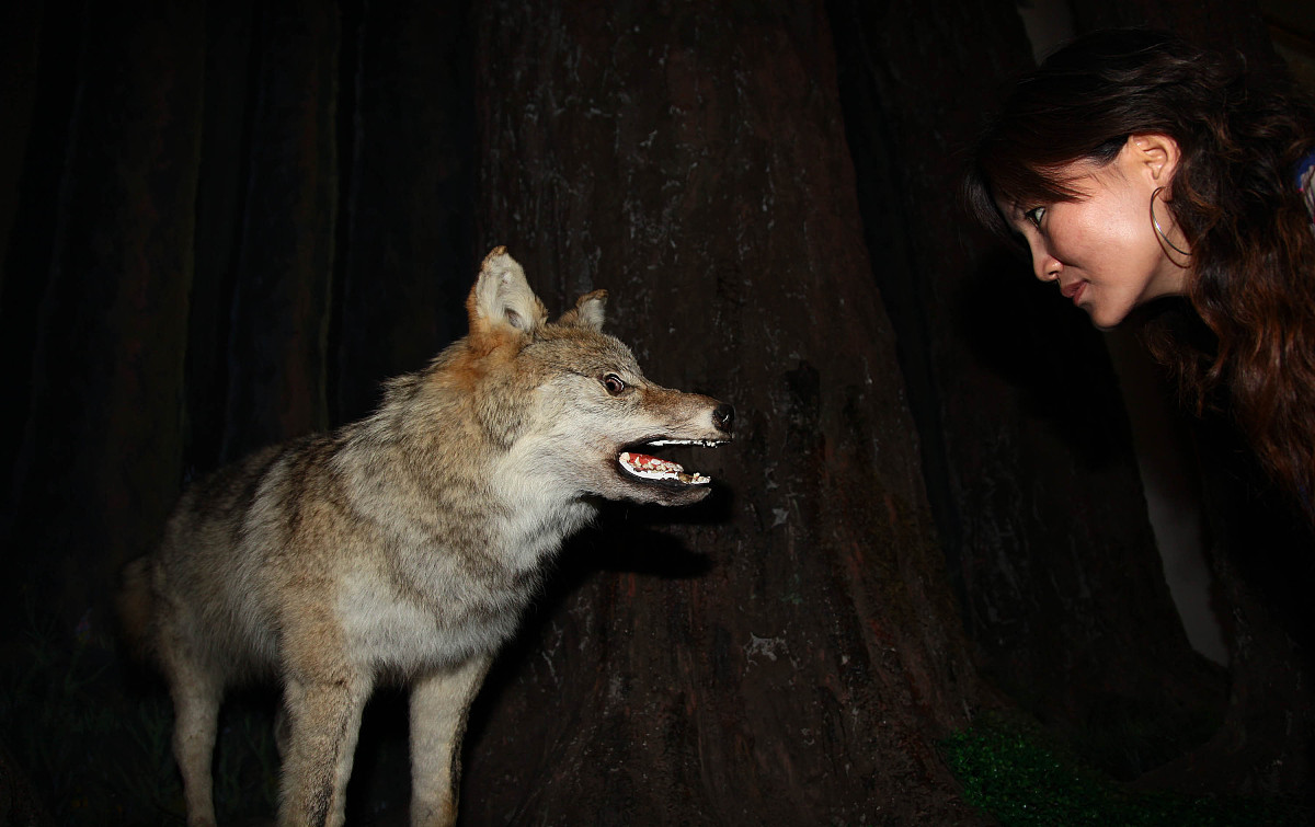 狼图腾：一部关于人与自然、文化与人性的史诗