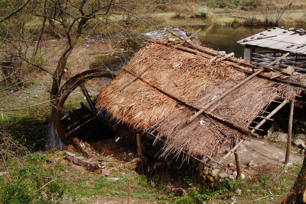 梦见和己故父亲妻子住新搭草房里