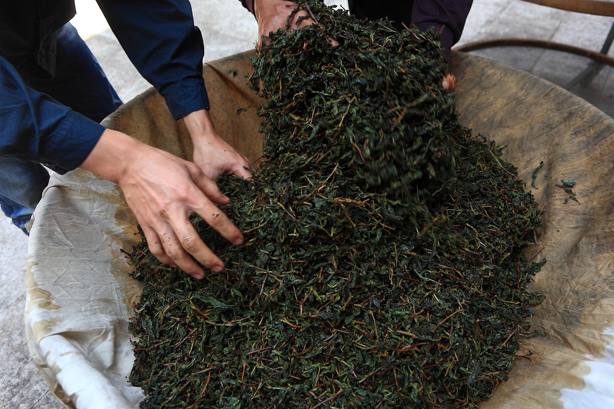 ***_***2013年10月12日,上海,福建传统乌龙茶制作方法