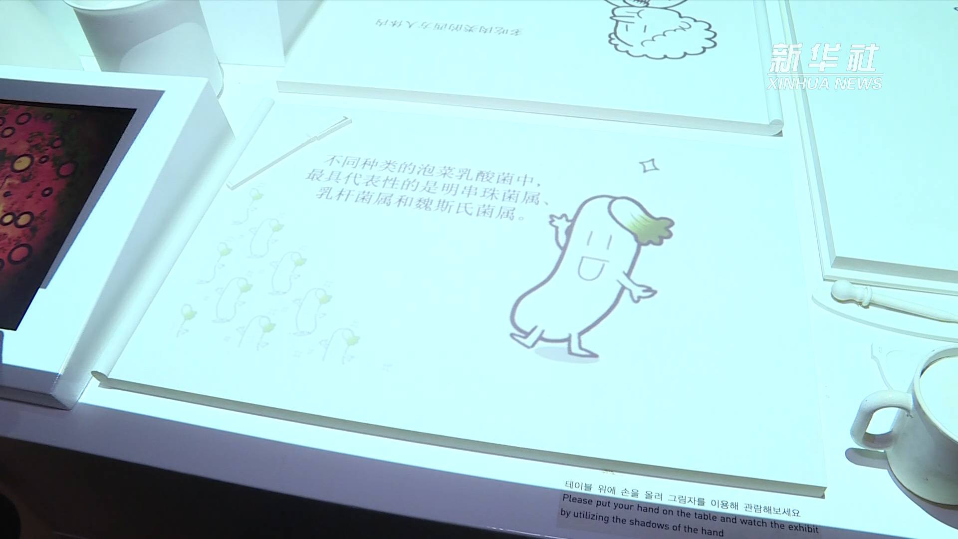 吃泡菜对人体健康有哪些好处?