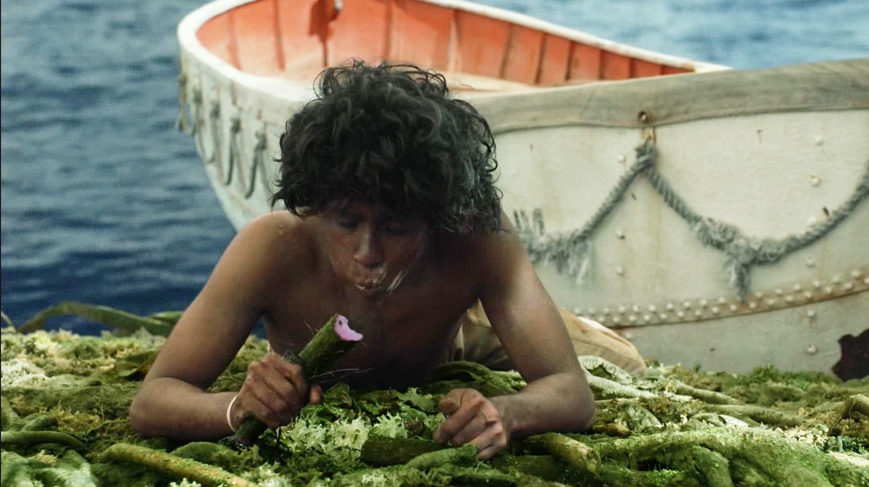 少年在海上漂流200天来到食人岛,他吃了口果子后,发现天大秘密