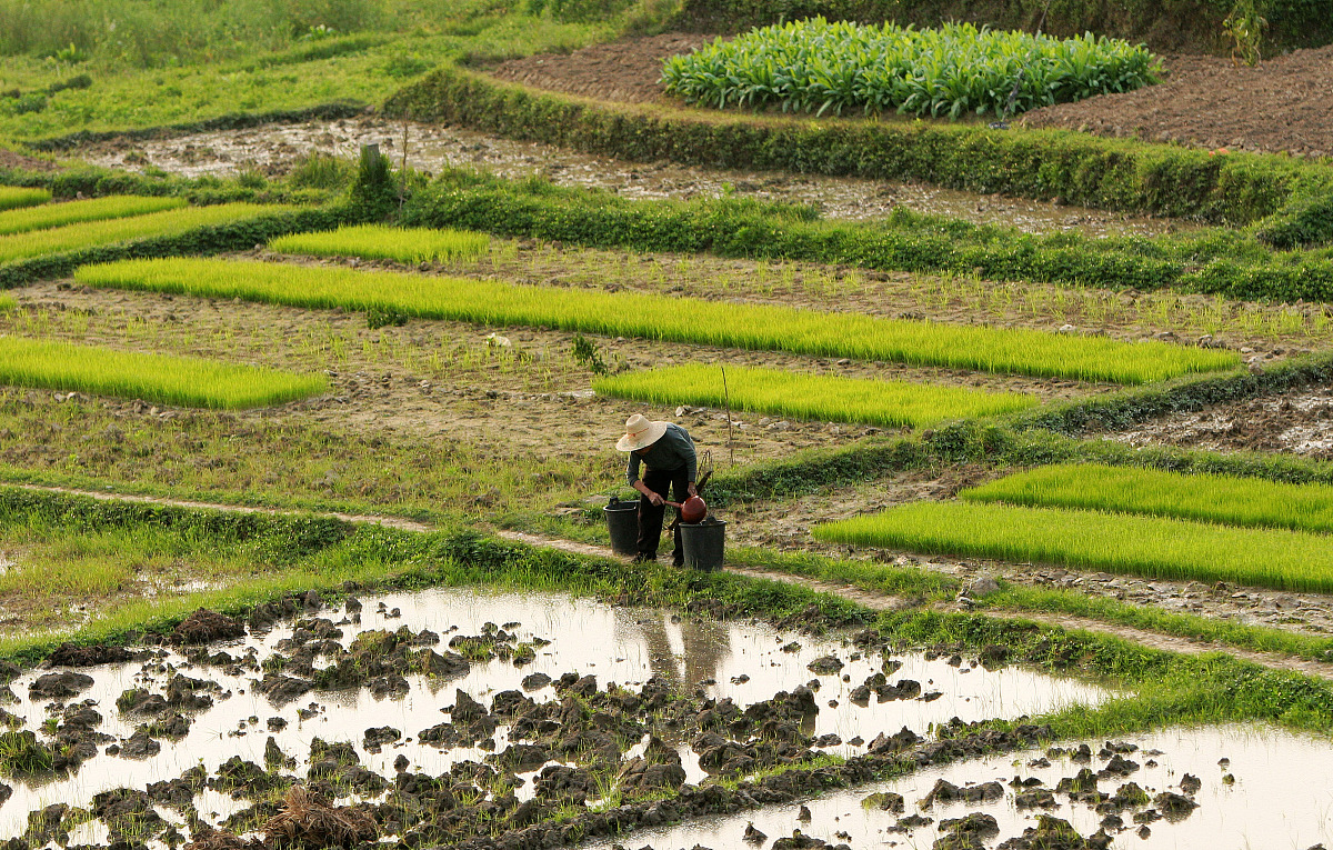 春天的农田：农民辛勤耕作，描绘美丽画卷