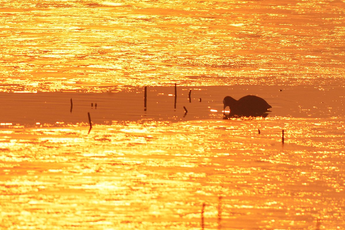 你好您好！有什么可以帮到您呢？帮我写一首歌名为《珊瑚海》的歌曲