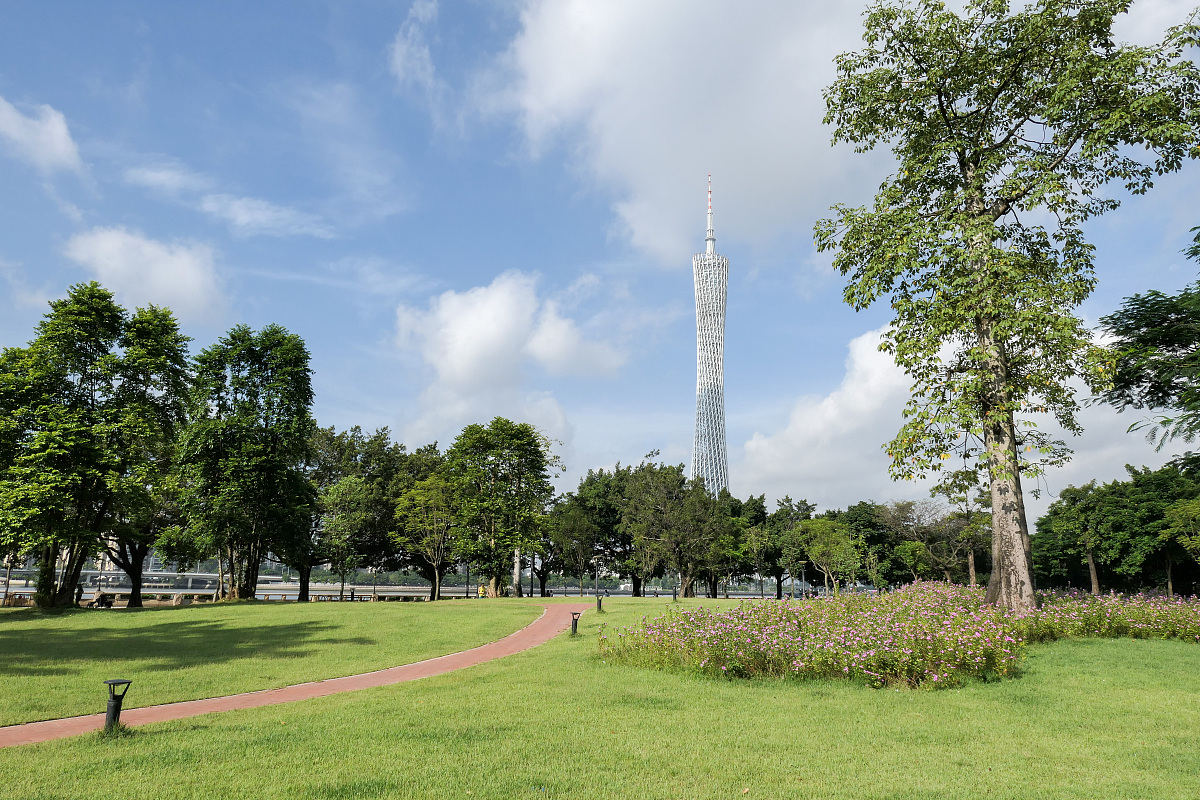 城乡绿地系统规划实施现状分析
