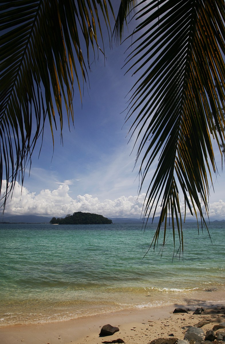 写风景的作文300字精选20篇 - 描绘祖国大好河山