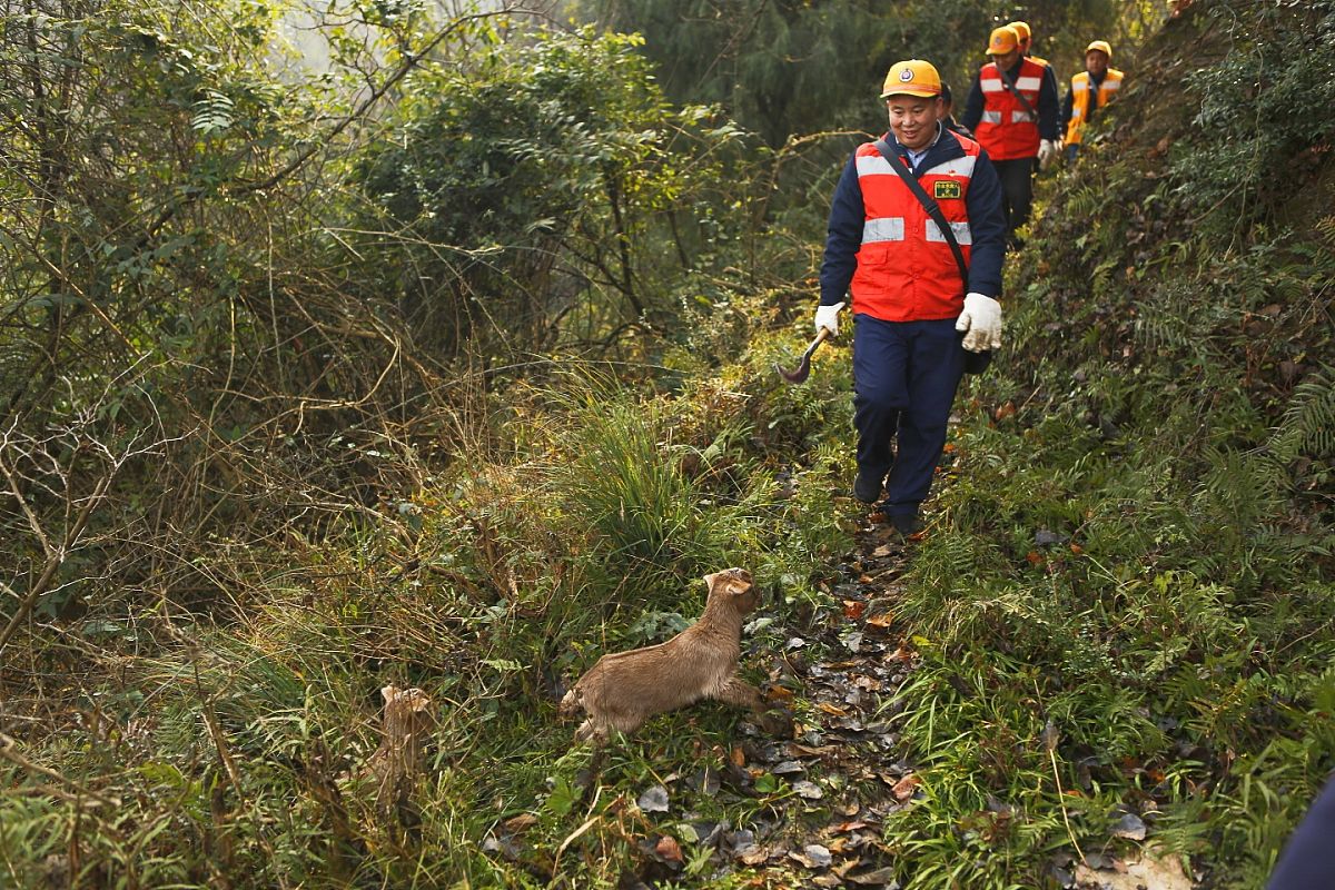 2022年四川铁路学校铁路运输专业需要具备哪些能力？