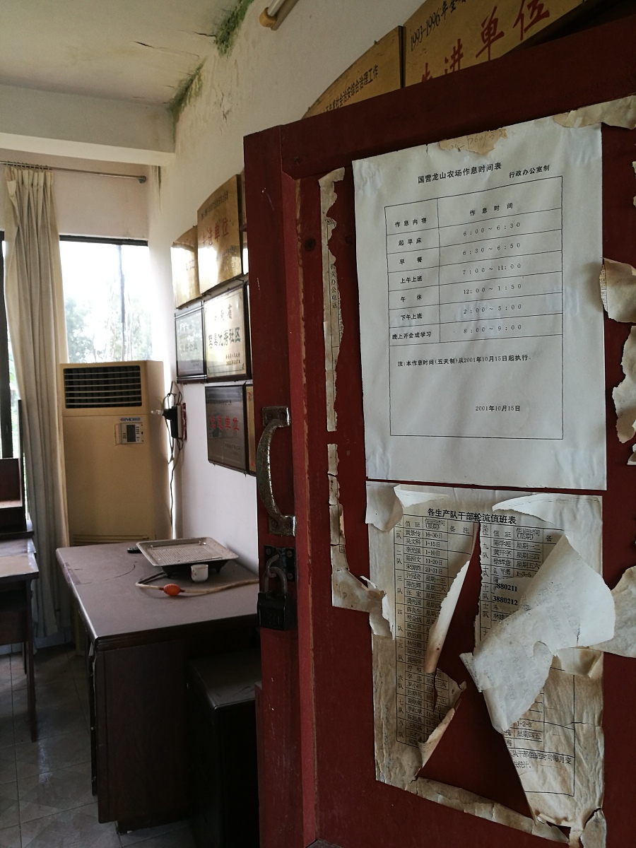 什么样的作息时间表是最健康的