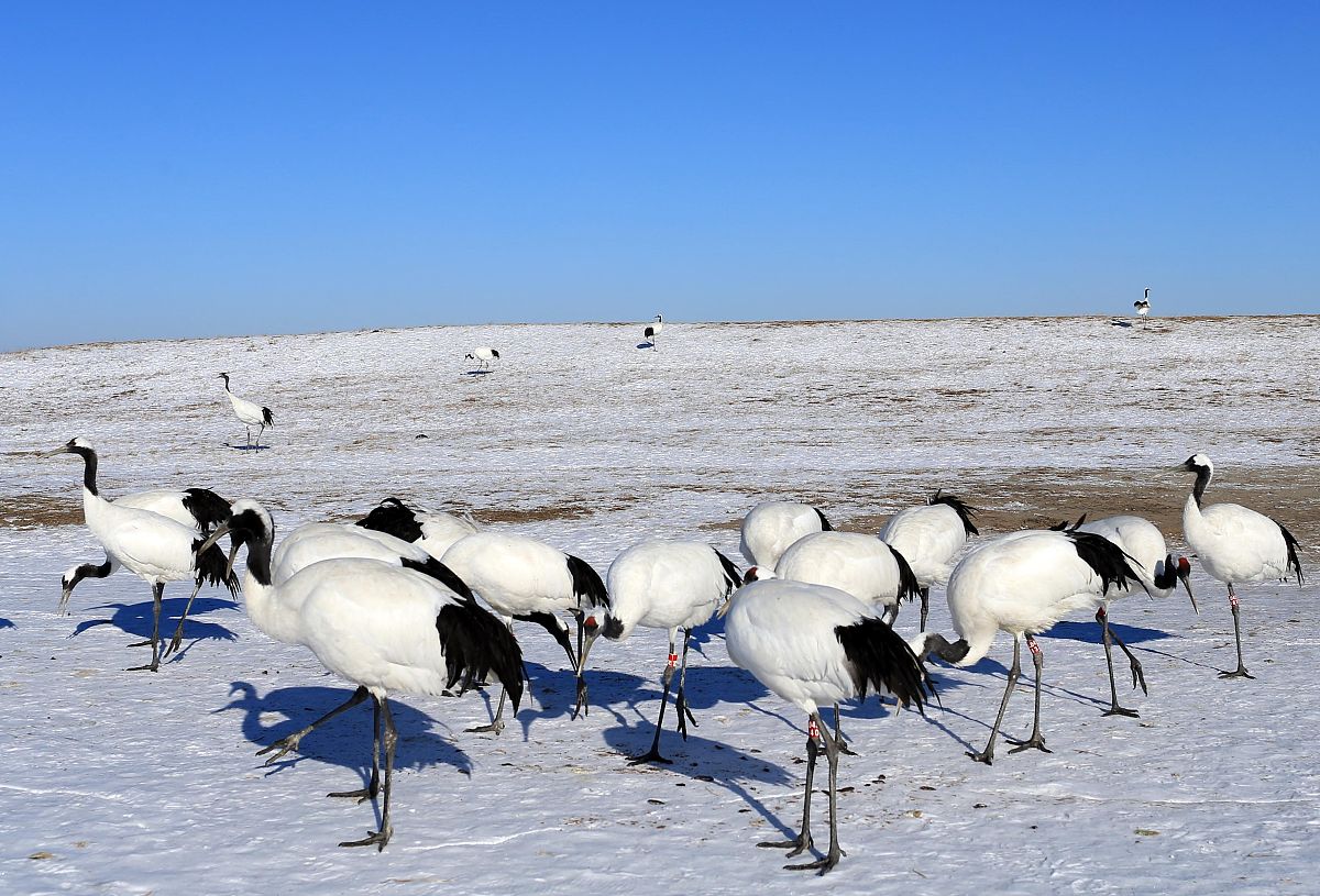云南林业职业技术学院五年制大专2021年有哪些专业