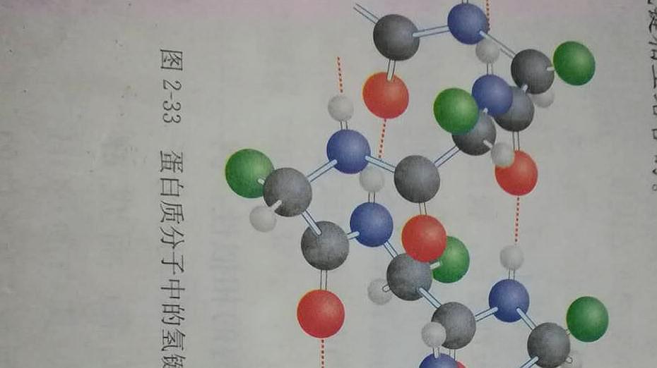 [图]范德华力与氢键种类