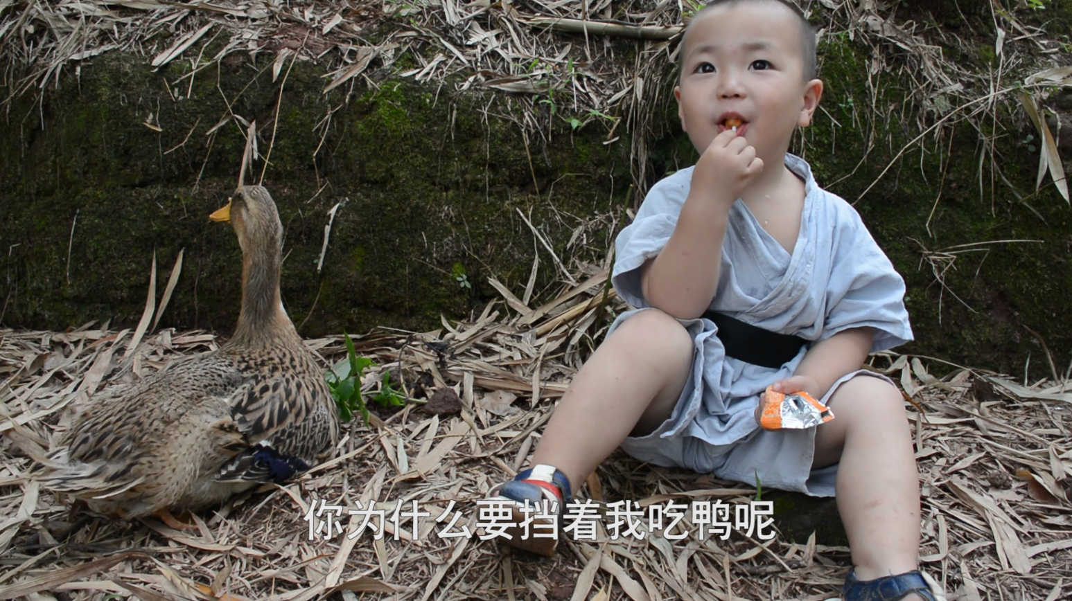 两岁小孩正要吃鸭子,结果一个神仙跳出来:小孩,这只鸭子不能杀