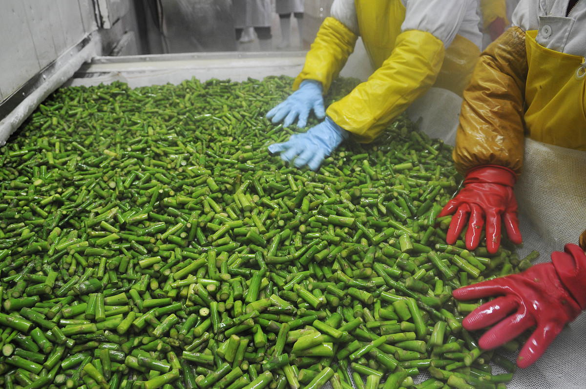 绵阳农校2021年招生专业有哪些