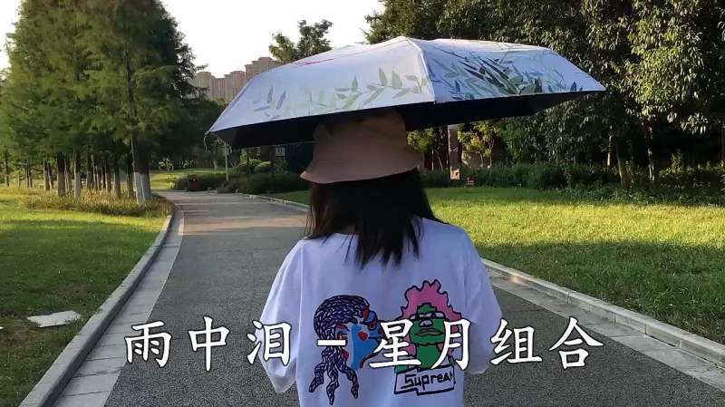 一首优美的情歌对唱雨中泪送给你唱得太动听百听不厌 音乐 流行乐 好看视频