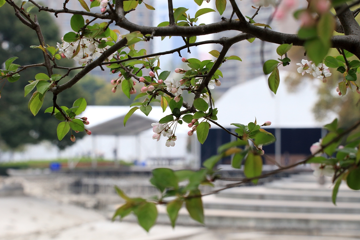 十堰科技学校2023年招生对象有哪些 怎么样