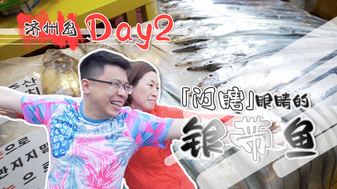 寻宝济州岛传统市场,1米5长的银带鱼!刺身、烤、炖我全部都要!