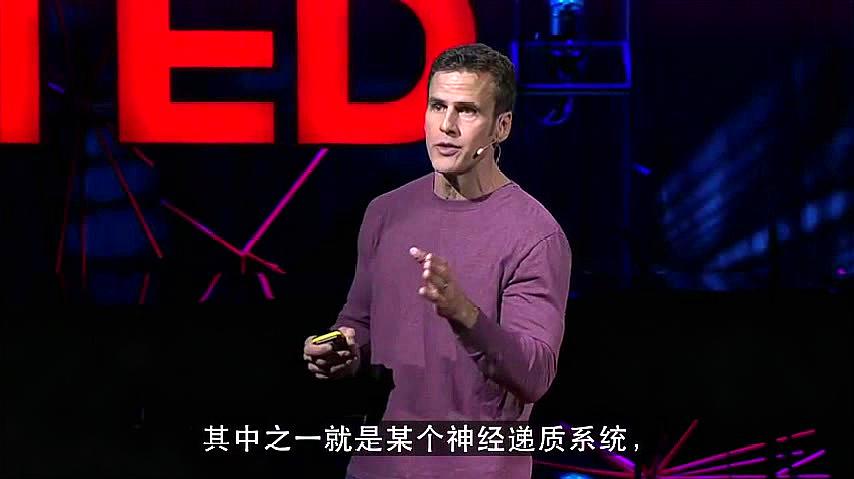 [图]TED演讲:男子扫描5000个大脑后发现的秘密,人际关系的核心问题