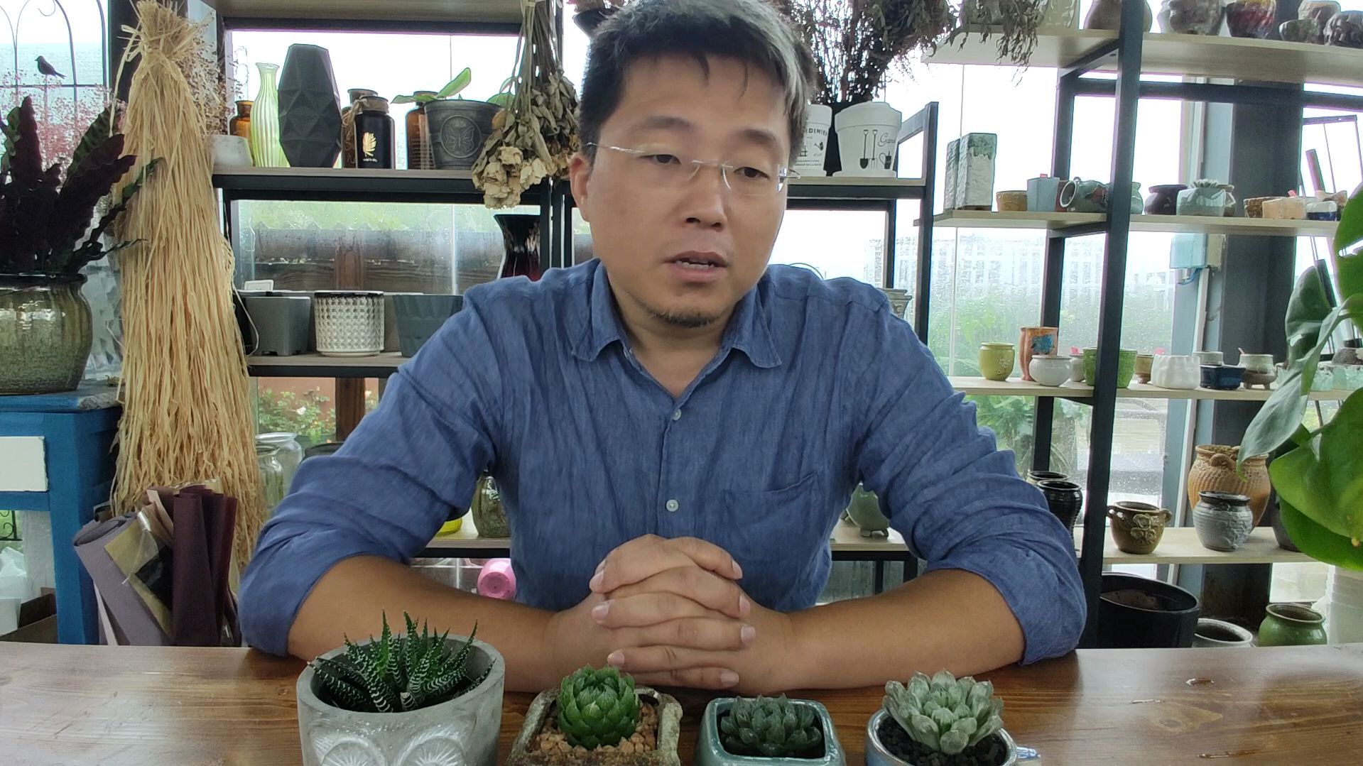 多肉玉露夏天如何养护,玉露这样养,不烂根,不发黄,碧绿又透亮