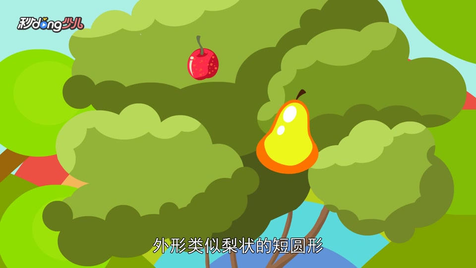 罗汉果品种盘点