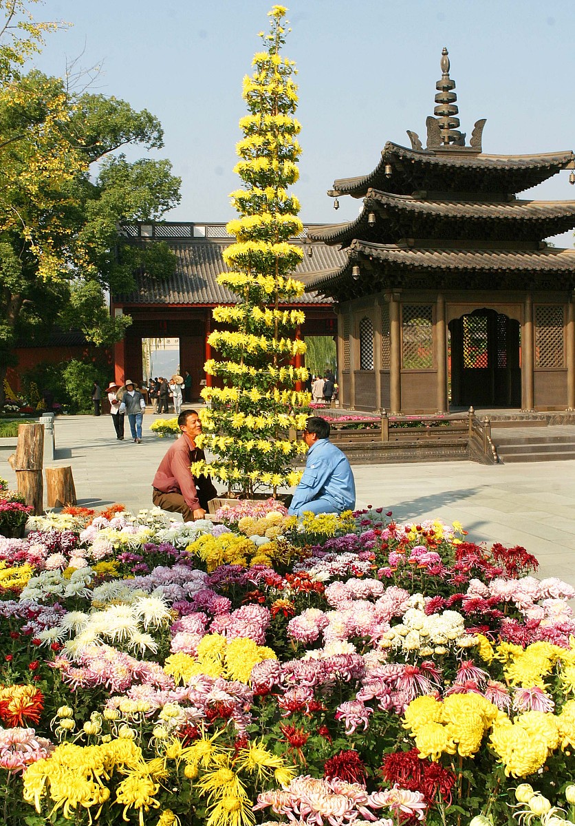 施秉县中等职业技术学校有哪些招生专业？