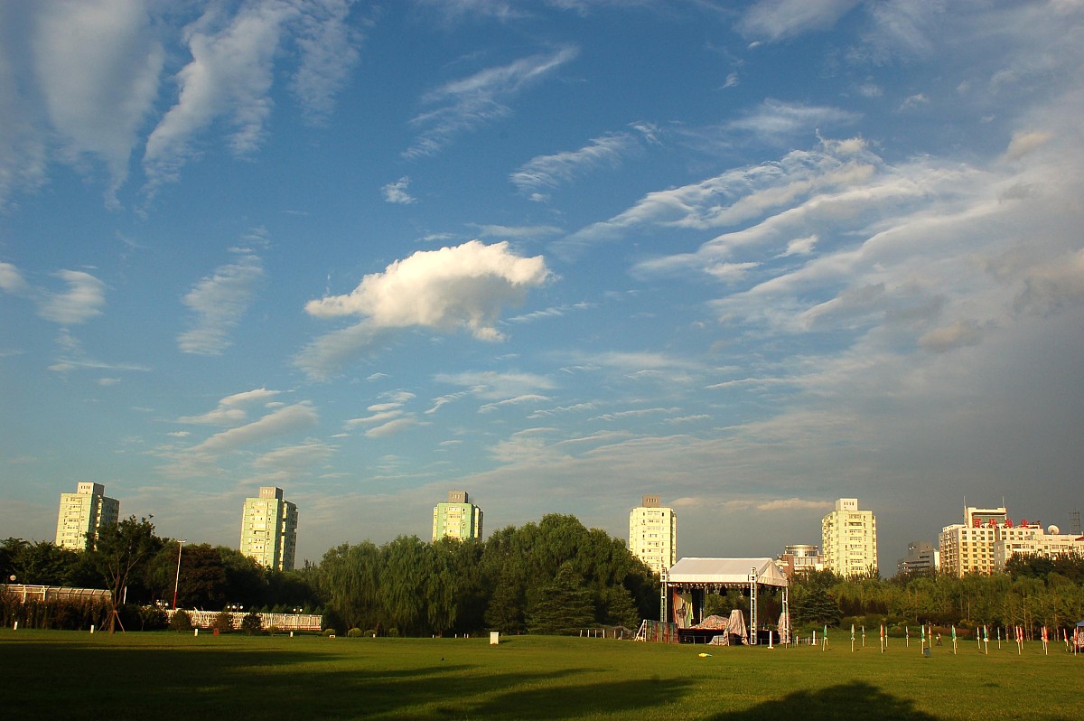 公共卫生管理专业就业前景分析：学什么？就业方向有哪些？