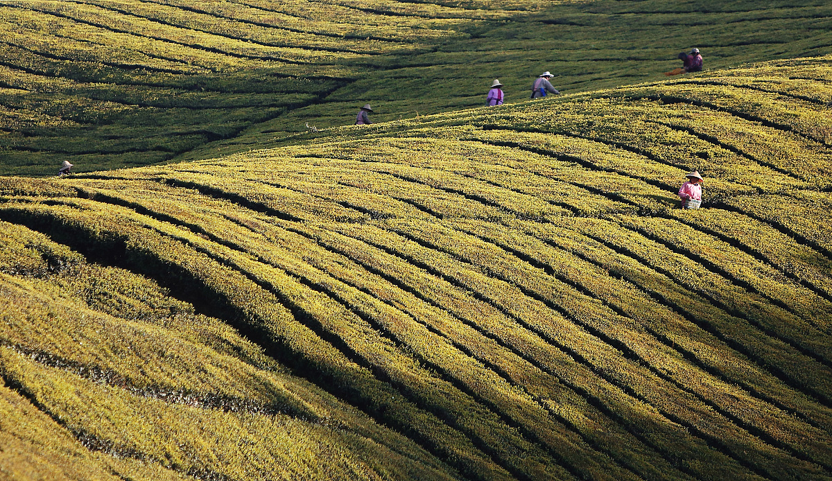 毕节农业学校农业综合技术专业招生 | 培养现代农业人才