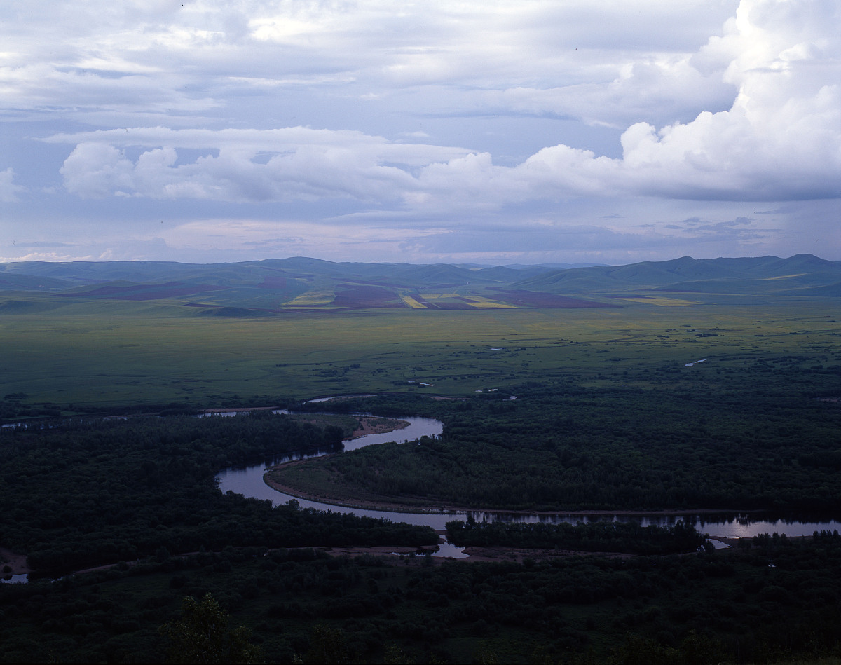 探秘自然秘境：**[保护区名称]**的生态之美与价值