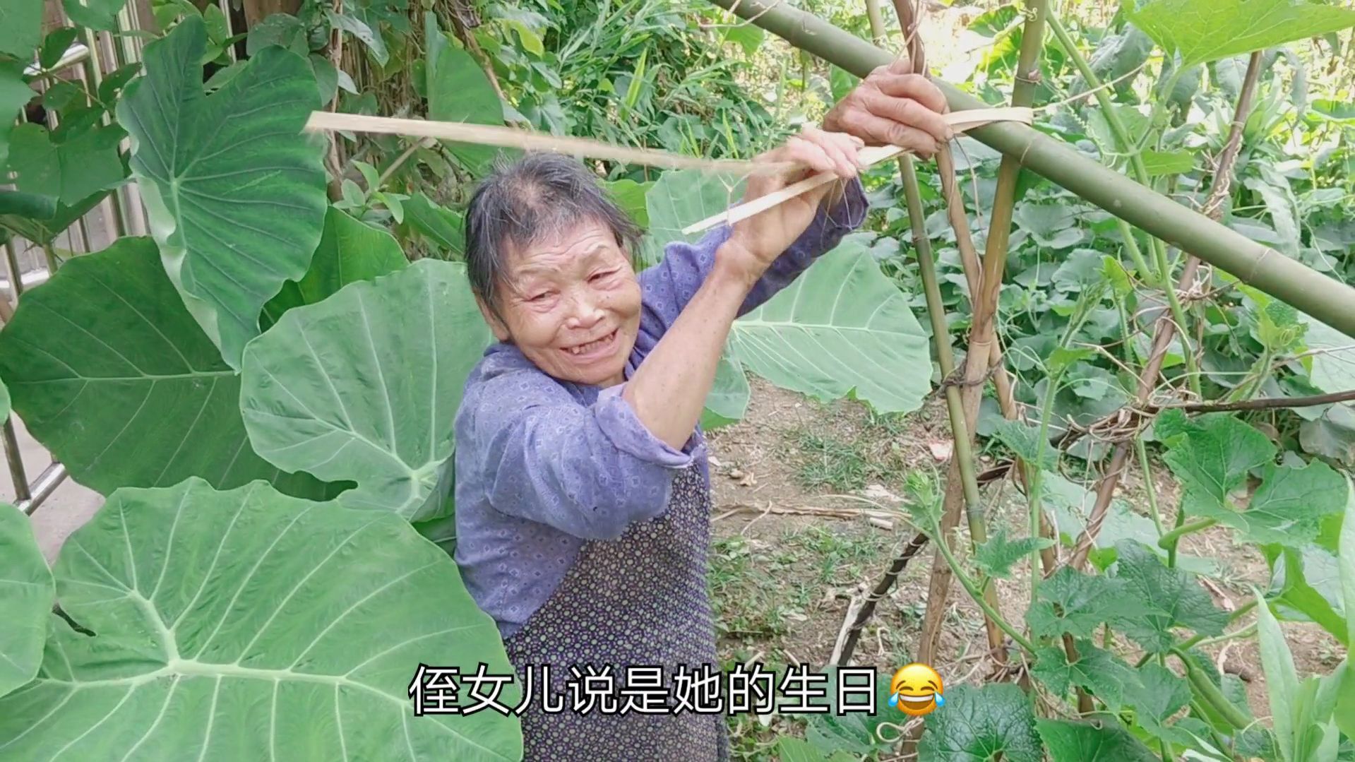 今天是奶奶80大寿,萍萍老师上街买蛋糕,奶奶笑得很开心