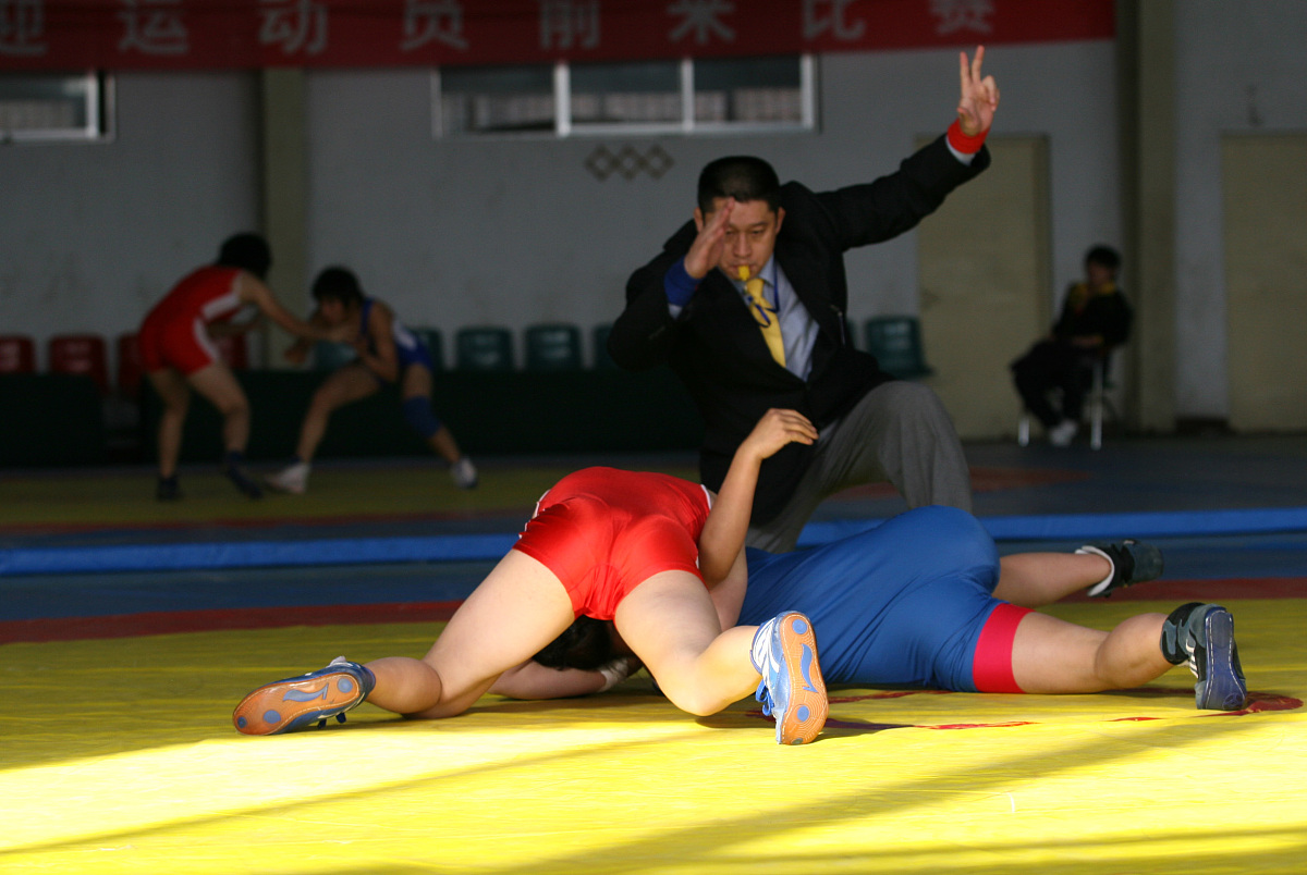安徽省阜阳体育运动学校自由式摔跤专业介绍