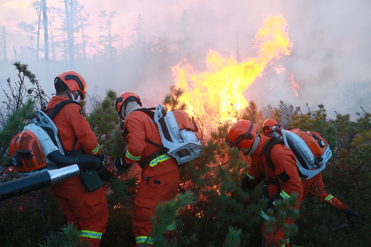 内蒙古两镇发生林火，千余名森林消防人员紧急扑救