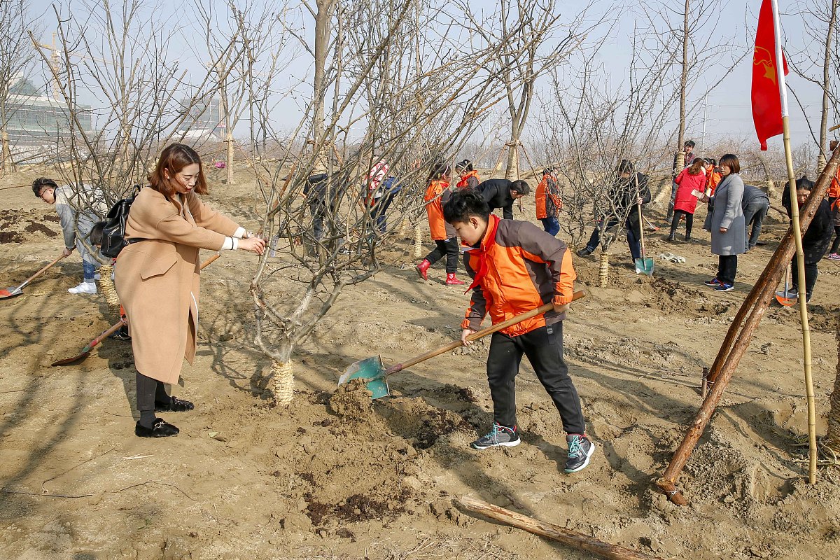 写一份南水北调江苏咨询管理有限公司2023年度团支部2000字工作计划
