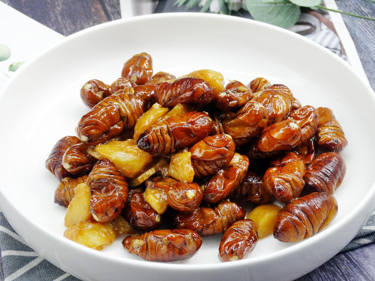 蚕蛹美味家常做法大全：简单易学营养丰富