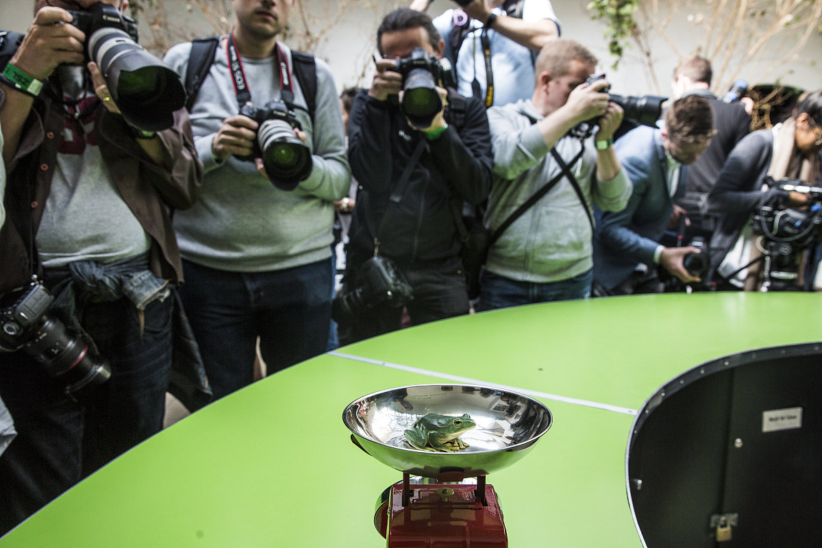 记录是什么？是描述对象属性的数据项集合吗？