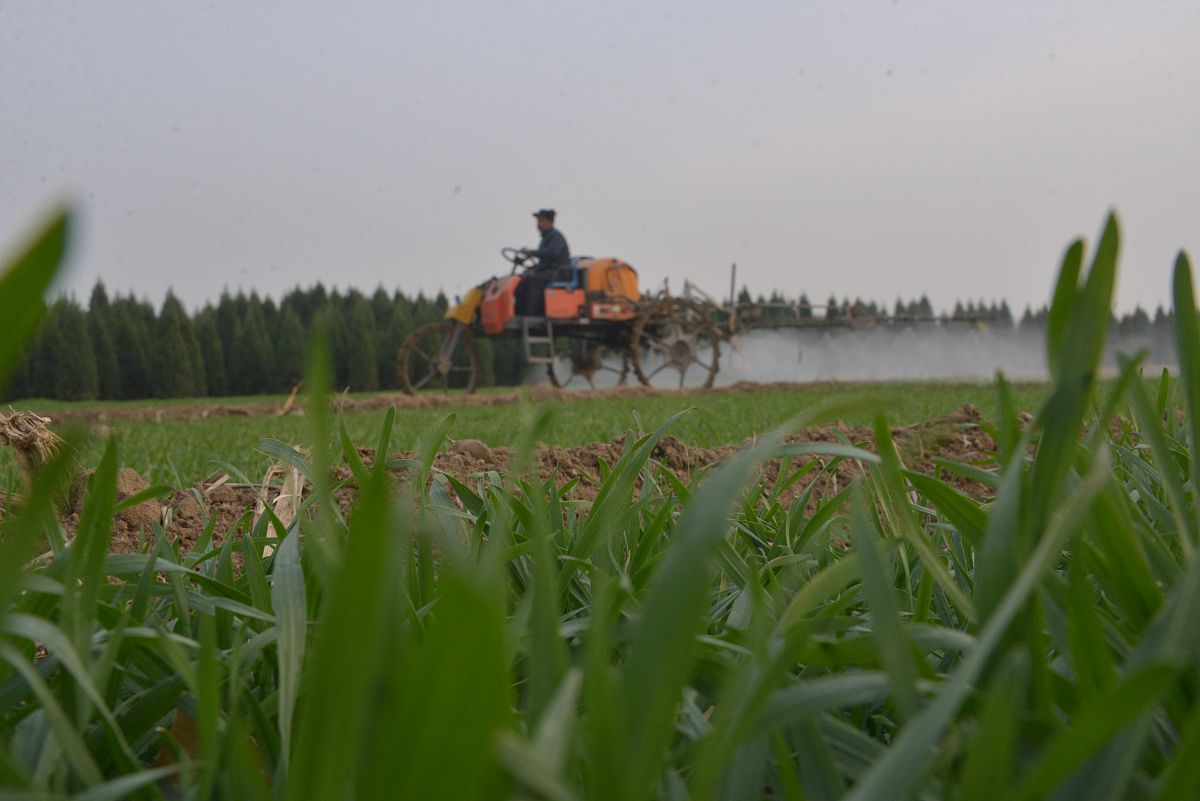 陕西省农业机械化学校计算机信息管理专业：培养信息管理人才