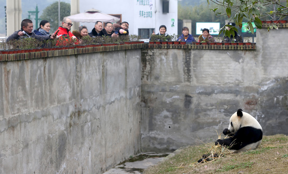 眉山卫校2019年招生简章_眉山卫校大专招生简章