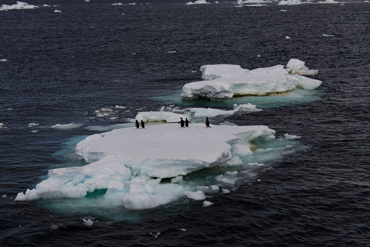 全球变暖的危害