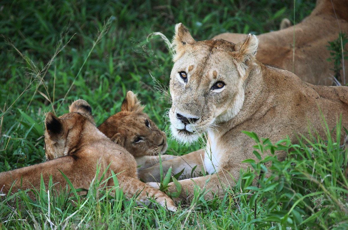 合肥2023年女生读幼师学校有前途吗-怎么样
