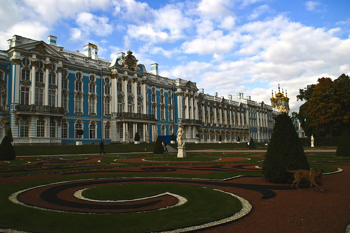 为什么要求高中生必须要读《红楼梦》？