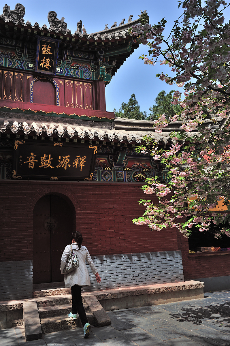 洛阳旅游学校有哪些专业