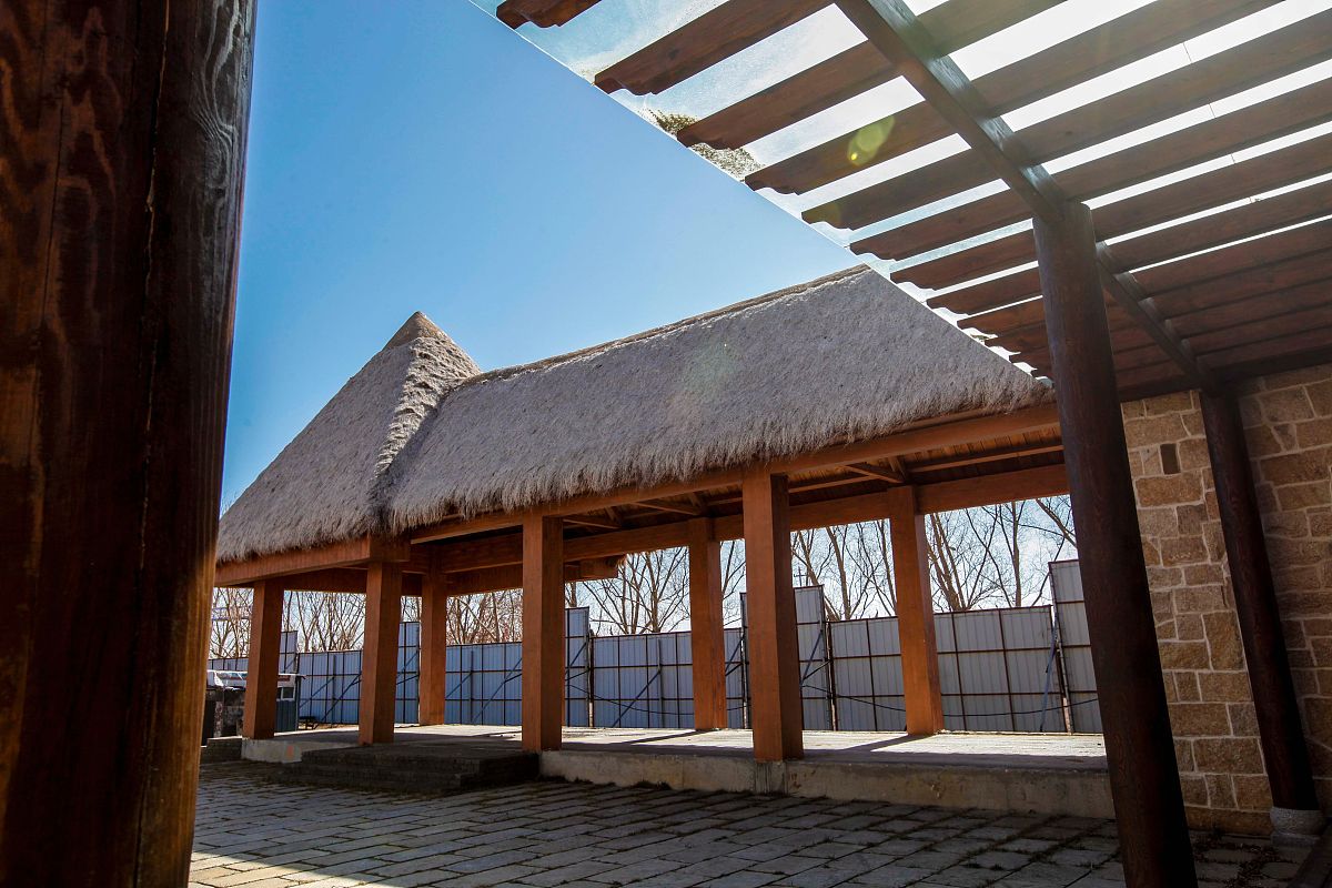 ***_***2018年3月5日,威海荣成市正在建设的"海草部落".
